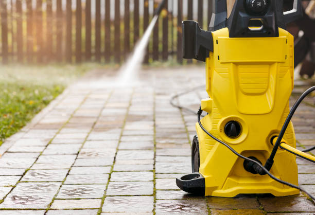 Best Roof Cleaning and Mildew Removal in Kaibito, AZ